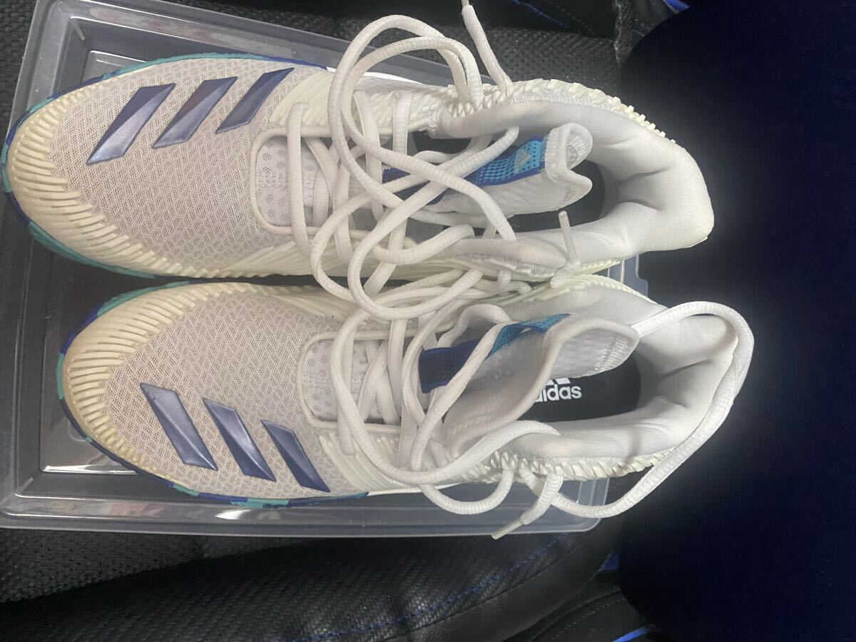 未使用⭐︎限定レアadidasアディダスバスケットボールシューズ 24 楽天市場】アディダス adidas バスケットシューズ ユニセックス