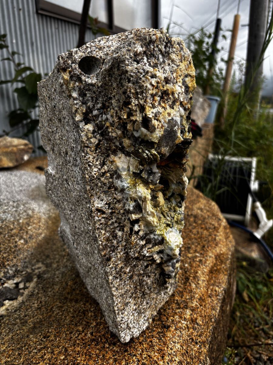 アンモナイト 295g 化石 鑑賞石 原石 自然石 誕生石 鉱石 鉱物 水石 アンモナイト 295年g 化石 鑑賞石 原石 自然石 誕生石 鉱石 鉱物