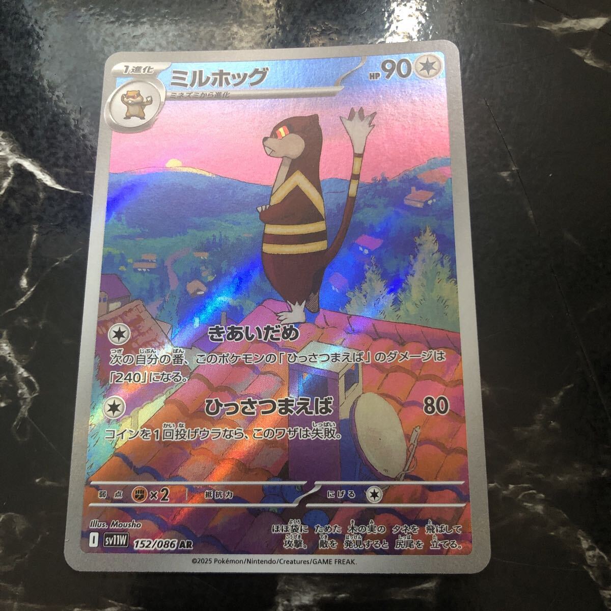 ミネズミ　ミルホッグ　AR 各10枚　まとめ売り　ホワイトフレア ミネズミ ミルホッグ AR 各10枚 まとめ売り ホワイトフレア 2025