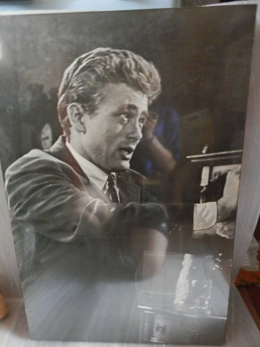 ジェームスディーン パネルの値段と価格推移は？｜11件の売買