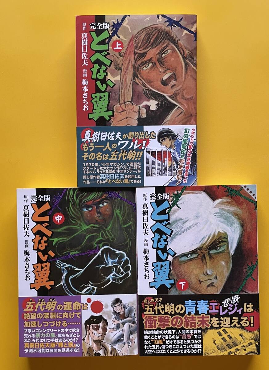 【中古】 風雲プロレス３０年 力道山からタイガー・マスクまで 第１２巻/有朋堂/真樹日佐夫 中古】 風雲プロレス30年 力道山からタイガー・マスクまで 第