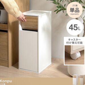 【新品 送料無料】 ゴミ箱 45L ダストボックス ふた付きゴミ箱 おしゃれゴミ箱 リビング家具 ごみ箱