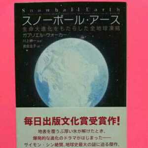  счастливый случай . удача!*A09*. волчок ...* суммировать выгода * snow мяч earth ga желтохвост L War машина 