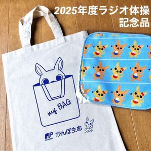 【非売品、新品未使用】2025年度 夏季巡回ラジオ体操参加記念品 かんぽくん マイバッグ ハンドタオル 2点セット