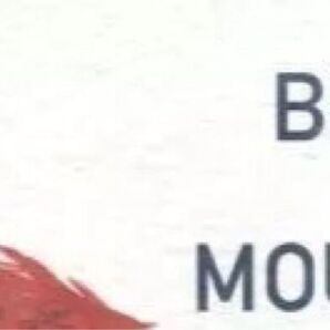 血界戦線 同人誌 BIGROCK CANDY MOUNTAIN mocoka makaka ステクラ