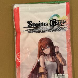 シュタインズゲート STEINS;GATE ブランケット 集合