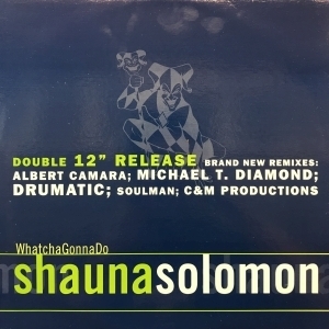 12inch x2レコード SHAUNA SOLOMON / WHATCHA GONNA DO