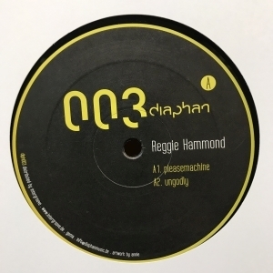 12inchレコード REGGIE HAMMOND / PLEASEMACHINE