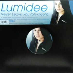 12inchレコード　 LUMIDEE / NEVER LEAVE YOU (Uh-Oooh)