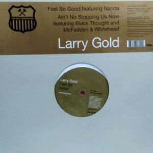 12inchレコード　 LARRY GOLD / FEEL SO GOOD feat. NANDA