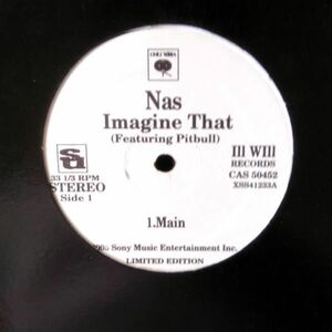 12inchレコード　 NAS / IMAGINE THAT feat. PITBULL