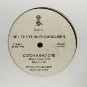 12inchレコード　 DEL THE FUNKY HOMOSAPIEN / CATCH A BAD ONE