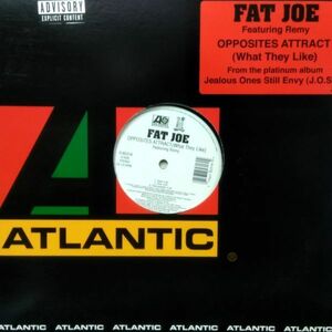 12inchレコード　 FAT JOE / OPPOSITES ATTRACT feat. REMY