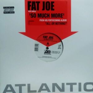 12inchレコード　 FAT JOE / SO MUCH MORE