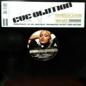 2LPレコード　 EVE / EVE-OLUTION