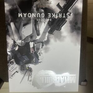 METAL BUILD ストライクガンダム メタルビルド strike seed