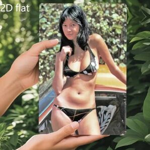2D flat アグネスラム プレートフォトビキニ