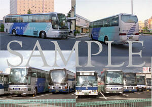 Ｆ【バス写真】Ｌ版４枚　東急バス　エアロクイーンⅠ　ミルキーウェイ　松江・出雲市線