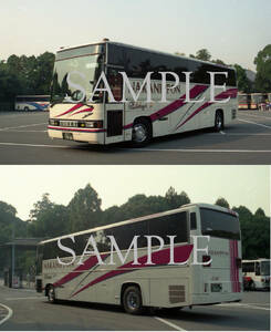 Ｆ【バス写真】Ｌ版２枚　中日本観光　ブルーリボン