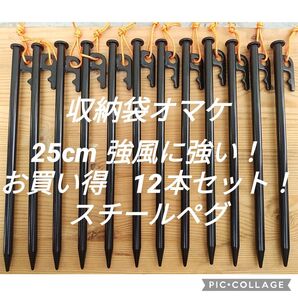 25cm スチールペグ 風に強い!夜光紐付き!新品未使用送料込み 安定感抜群 おすすめです