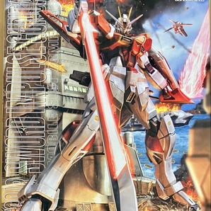※在庫数1個 MG ソードインパルスガンダム 未組み立てプラモデル
