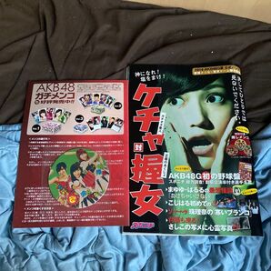 2014年夏AKB48G公式パンフレット