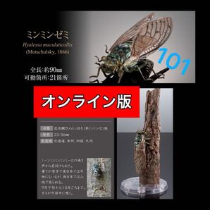 〈オンライン版〉 ミンミンゼミ いきもの大図鑑アドバンス セミ01 バンダイ