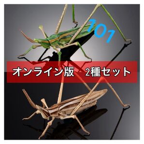 〈オンライン版 2種セット〉 ショウリョウバッタ いきもの大図鑑アドバンス バンダイ