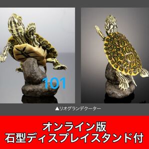 〈オンライン版〉 リオグランデクーター いきもの大図鑑アドバンス カメ02 バンダイ