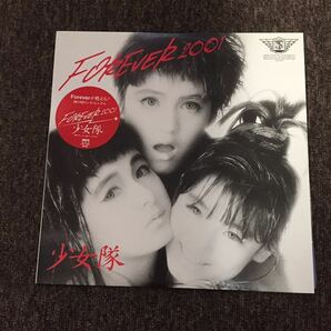 LP-001 少女隊 Forever ２００１ FLAMINGO ISLAND BROADWAY 佐藤準 松原正樹 越美晴 和モノAtoZ 和ブギー   12インチレコード シングルの画像1