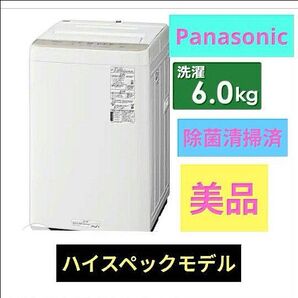 パナソニック 全自動洗濯機 洗濯6.0kg 上開き 高年式 除菌清掃済 美品 Panasonic 縦型全自動洗濯機 家電