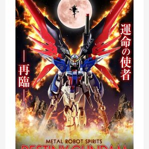 METAL ROBOT魂 デスティニーガンダム Re:Coordinate 新品