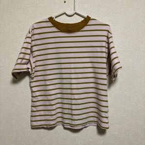 コーエン Tシャツ