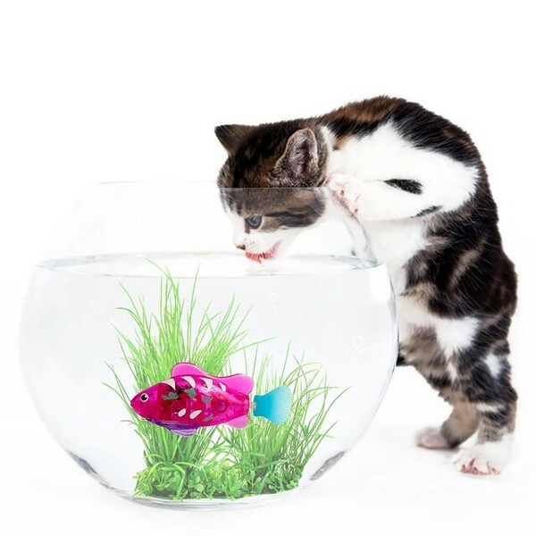 【週末お値下げ】猫のおもちゃ 電動 魚(アンコウ)ロボ
