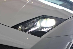 ランボルギーニ　ガヤルド　LP560　LP550　純正HID交換バルブ　D1S共通　D1C　6000K　ホワイト光　　安心1年保証　　2個（1SET）車検対応