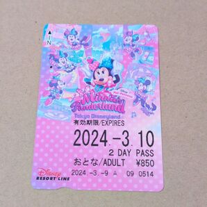 舞浜リゾートライン ミニー パルパルーザ ファンダーランド リゾラ フリーきっぷ 切符
