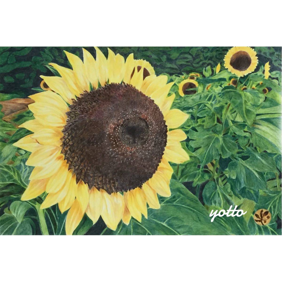 Colored pencil drawing gift A4 with frame ◆Hand-drawn ◇Original drawing ◆Sunflower◇◆Yotto◇, artwork, painting, pencil drawing, charcoal drawing