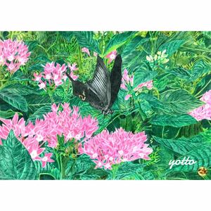  color pencil .[ butterfly butterfly ]B4* amount attaching ** hand ..* original picture * flower * landscape painting **yotto*