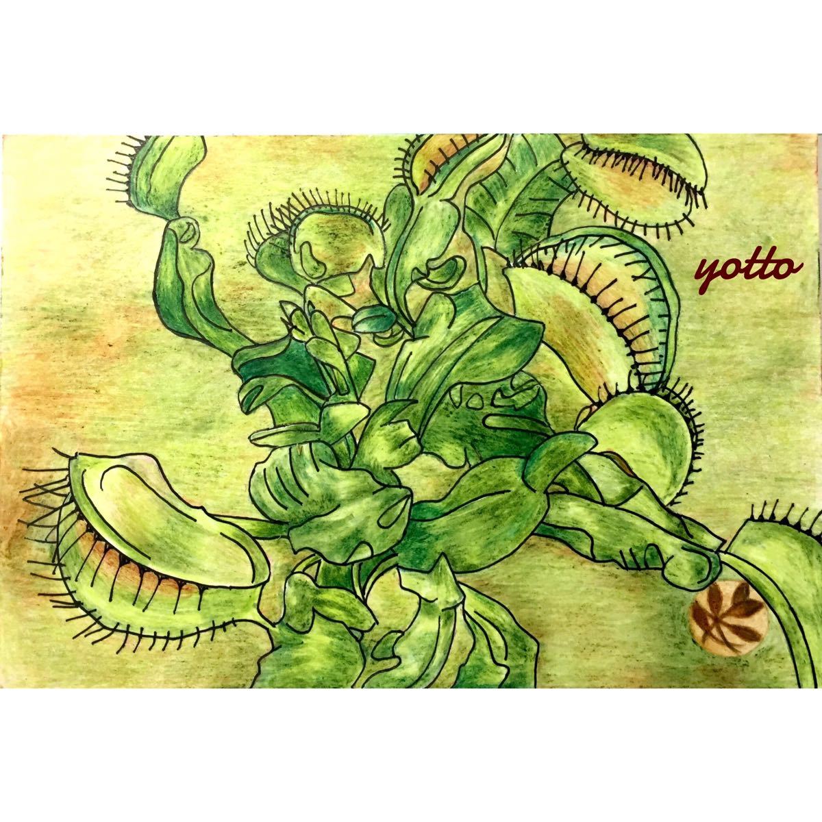 Colored pencil drawing Vulture Trap Postcard size with frame ◇◆Hand-drawn ◇Original drawing ◆Plant ◇◆Yotto, artwork, painting, pencil drawing, charcoal drawing