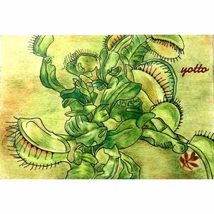 Art hand Auction Dessin au crayon de couleur Venus flytrap Format carte postale avec cadre ◇◆Dessiné à la main◇Original◆Plantes◇◆yotto, Ouvrages d'art, Peinture, Dessin au crayon, Dessin au charbon de bois