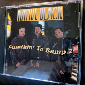 NATIVE BLACK Sumthin' To Bump 2 ロジャー追悼TALK BOX CD トークボックス