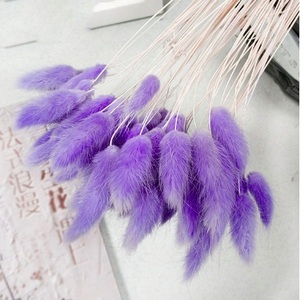  nature dry ... flower bouquet wedding Home interior equipment ornament natural dry flower rabbit . tail . genuine article. flower [ color :9 color ]