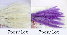 左：374-White 右：374-Purple