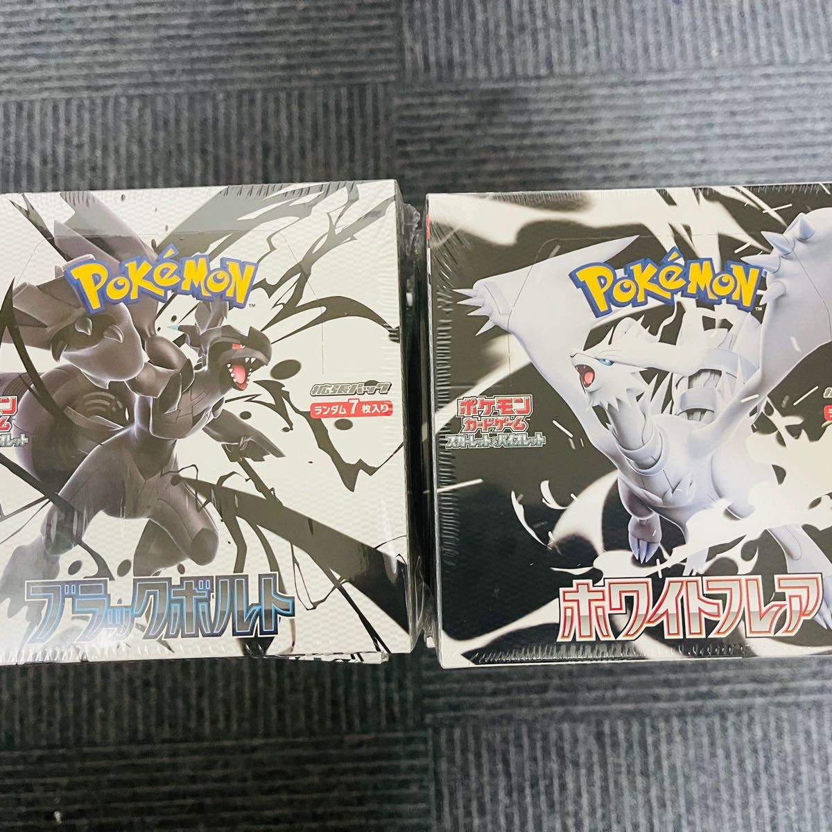 ブラックボルト・ホワイトフレア カードファイルセット　２個　ポケカ　ピクティニ ポケモンカードゲーム スカーレット＆バイオレット ブラック