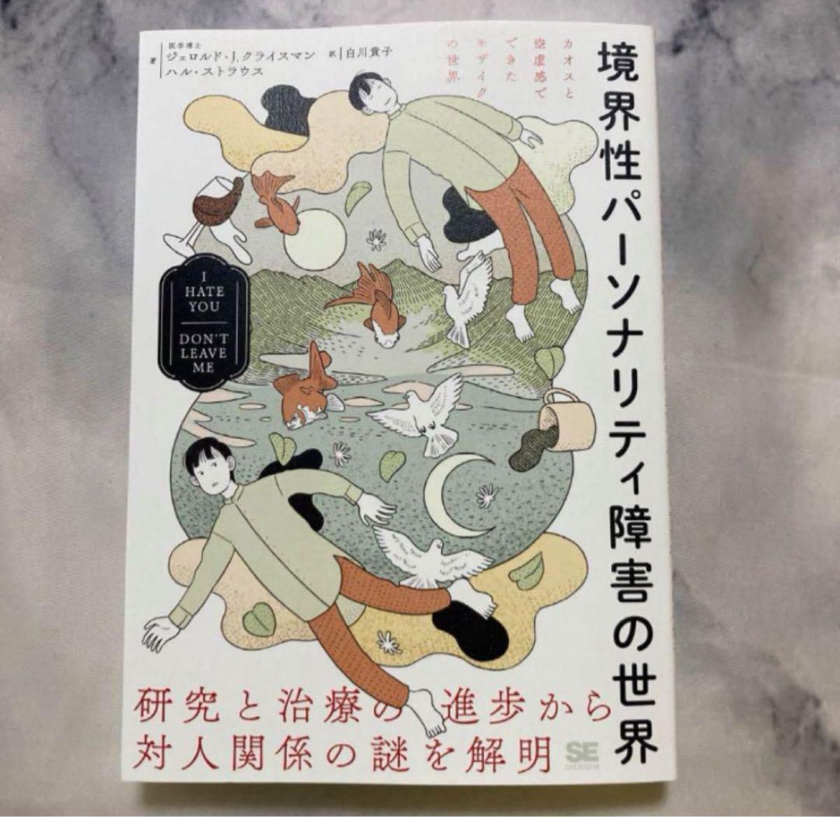 境界性パーソナリティ障害の世界 I HATE YOU DON'T LEAVE ME