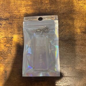 甲子園歴史館 記念ノベルティ キーホルダー