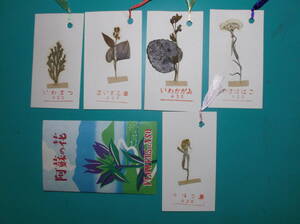  book mark 5 sheets set [... flower pressed flower ]................ is is . is is ...