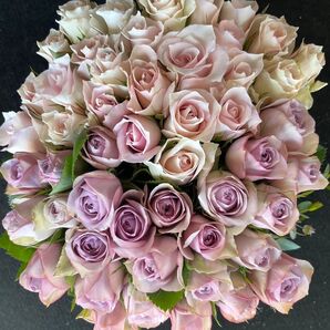 お見舞い・お供え・お飾りにも!淡め!!バラ(切り花・生花)*パープル&ピンクハーフandハーフ* 30㎝ 40本 産地直送!