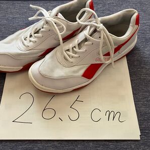 体育館シューズ 26.5センチ