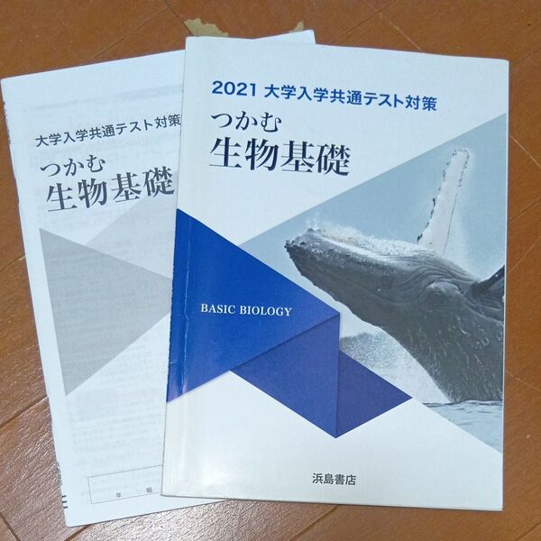 つかむ生物基礎 詳解書付き 2021大学入学共通テスト対策 浜島書店